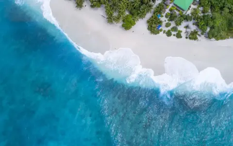 Frases de vacaciones: el humor perfecto para cada momento