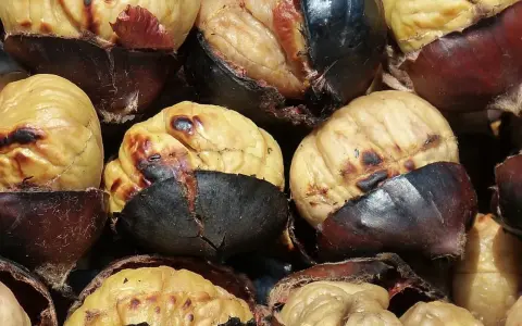Castañas asadas en freidora de aire, con la piel oscura y la carne dorada y tierna. ¡Un placer otoñal!