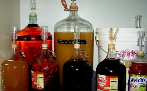 Wiele butli z płynami do fermentacji, w tym z owocami i sokiem winogronowym. To inspiracja, jak zrobić wino proporcje.