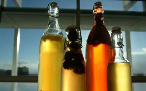 Cztery butelki z napojem, w tym jedna z ciemnymi owocami. To domowa kombucha co to jest? Napój fermentowany, zdrowy i pyszny.