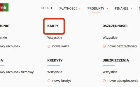 Zmień limit BLIK w mBanku: Aplikacja, online, mLinią jak to zrobić?