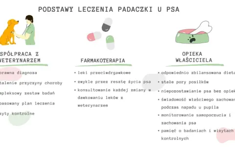 Leczenie padaczki u psa: współpraca z weterynarzem, farmakoterapia i opieka właściciela. Uśpienie psa z padaczką to ostateczność.
