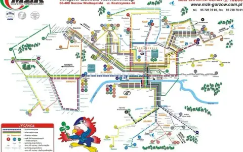 Bus Krajan Gorzów: Gdzie jest przystanek? Pewne info i weryfikacja