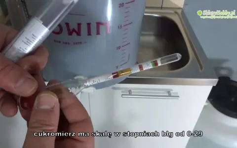 Jak zmierzyć alkohol w winie? Metody dla domowych winiarzy