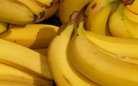Gdzie rosną banany? Odkryj kraje i inspiracje podróżnicze