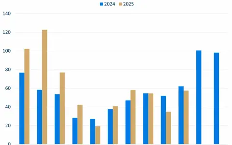 Balkendiagramm zeigt die durchschnittliche Strompreisentwicklung in Frankreich für 2024 (blau) und 2025 (beige). Die Preise schwanken monatlich.