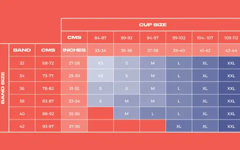 Bra size chart showing band sizes (32-42) and cup sizes (XS-XXL) with corresponding measurements in CMS and inches.