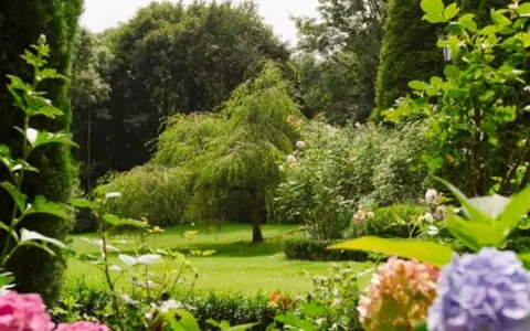 Ein üppiger Garten mit Hängebuche, Rosen und Hortensien. Tolle gartengestaltung tipps für ein Paradies.