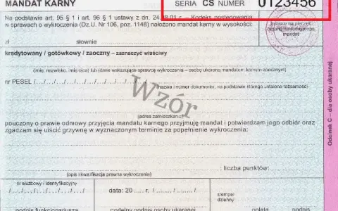 Mandat karny: Jaki symbol formularza wpisać? Uniknij problemów!