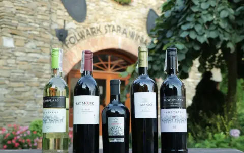 Wino na wesele: Ile kupić i jak wybrać, by goście byli zachwyceni?