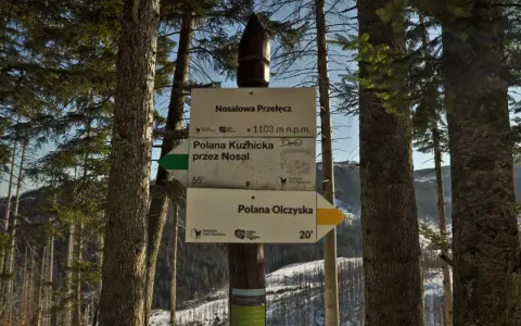 Znak szlaku na Nosalowej Przełęczy, 1103 m n.p.m. Kierunki: Polana Kuźnicka (55 min) i Polana Olczyska (20 min).