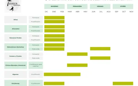 Calendario de poda de árboles frutales en España: cuándo se podan olivos, almendros, manzanos, cítricos y más.