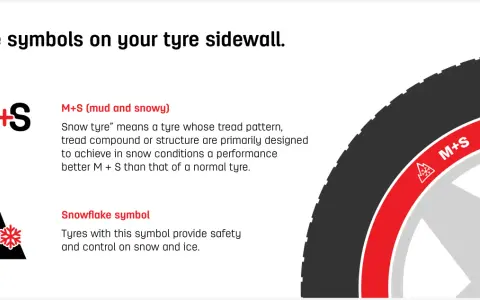 Simboli M+S e fiocco di neve su 4 gomme invernali, per affrontare fango e neve con sicurezza.