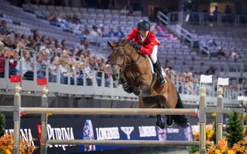 Cavalier en tenue rouge saute un obstacle lors d'une compétition équestre, visant la victoire à la **equestrian cup**.