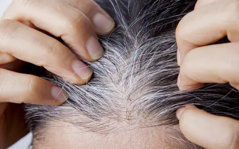 Manos separando cabello oscuro con canas plateadas, buscando cómo cubrir canas sin tinte.