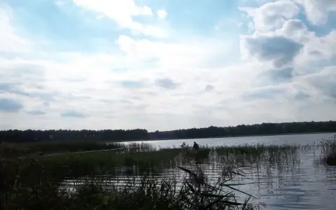 Spokojne jezioro Zagłębocze otoczone lasem, z trzcinami na brzegu i samotnym wędkarzem.