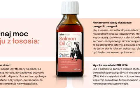 Jaki olej z łososia dla psa? Najlepsze produkty dla zdrowia pupila