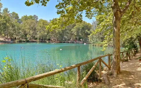 La albufera de Anna, con su agua turquesa y rodeada de árboles frondosos, invita a un paseo tranquilo. Patos nadan en la superficie.