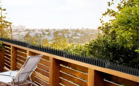 Disfruta de tu terraza sin palomas. Estos pinchos son una solución efectiva para saber como ahuyentar palomas y mantenerlas alejadas de tu hogar.