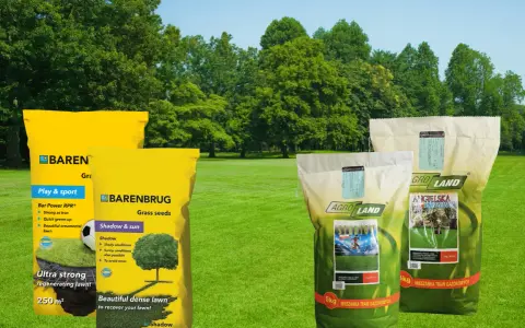 Jaka trawa na trawnik? Na zdjęciu mieszanki Barenbrug i Agro Land do trawników sportowych, ozdobnych i cienistych.