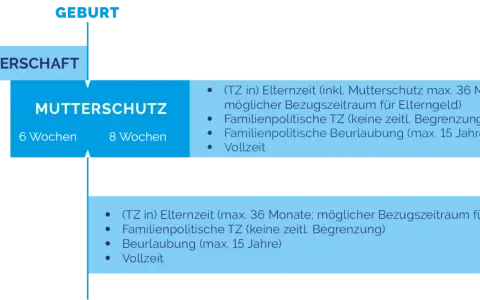 Schema zeigt, wie man Elternzeit beantragen kann. Mutter- und Vaterschutz, Elternzeit bis 36 Monate.