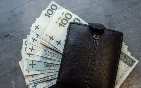 Czarny portfel z plikiem banknotów 100 zł. Czy to oszczędności na przyszłość, czy może zapłata za podatek od emisji CO2?
