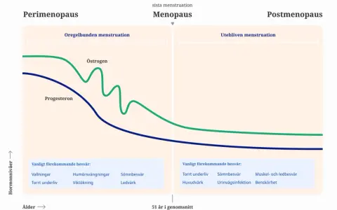 Graf som visar hormonförändringar under perimenopaus, menopaus och postmenopaus. Beskriver vanliga besvär efter klimakteriet.