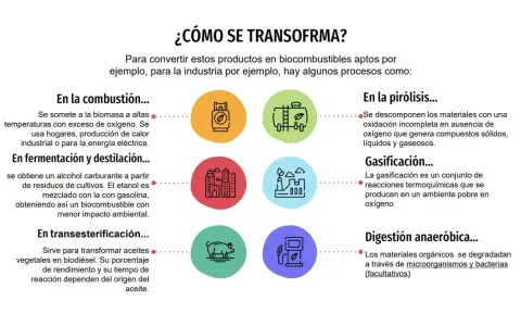 Ilustración de varios tipos de biomasa y sus procesos de transformación: combustión, fermentación, pirólisis, gasificación y digestión anaeróbica.