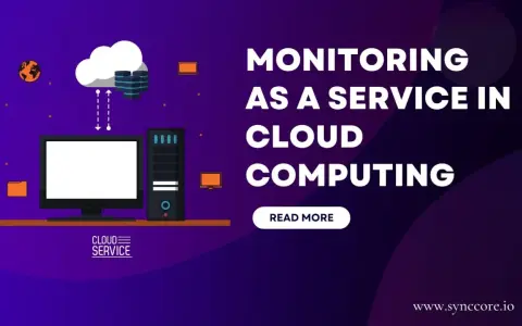 Illustration of cloud computing infrastructure with a computer and server, highlighting "Monitoring as a Service" for seamless cloud operations.