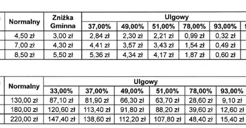 Rozkład Jazdy 603 Gdańsk: Przewodnik po Nocnym Autobusie
