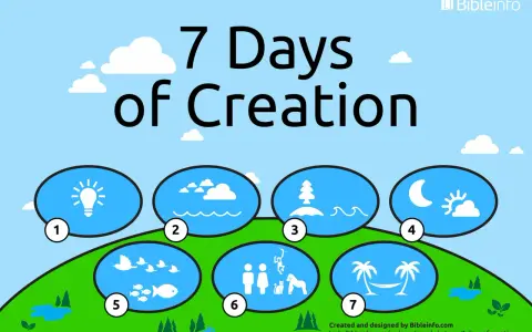 Visual summary of the 7 Days of Creation: light, sky, land, sun/moon, birds/fish, humans/animals, rest.