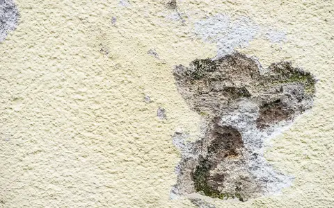 Jak naprawić dziurę w elewacji - uniknij kosztownych błędów w remoncie