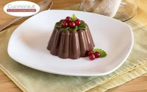 Budino al cioccolato decorato con ribes rossi e menta, servito su un piatto bianco.