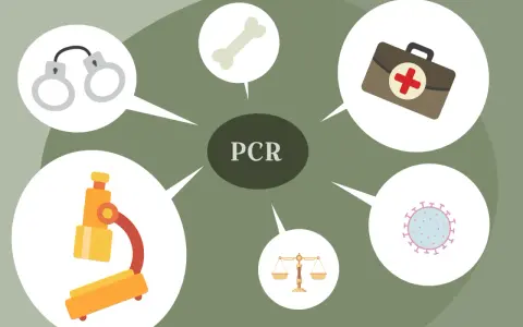 Diagrama sobre PCR en medicina: microscopio, hueso, botiquín, virus, balanza y esposas.