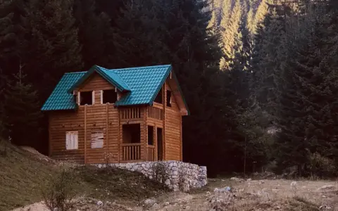 Acogedora tiny house de madera con tejado verde, rodeada de un bosque oscuro y un prado.