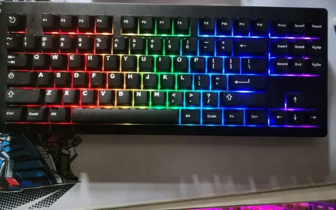 Eine schwarze Tastatur mit bunter RGB-Beleuchtung, die wie ein Regenbogen verstellt ist. Die Tasten leuchten in Rot, Orange, Gelb, Grün, Blau und Violett.