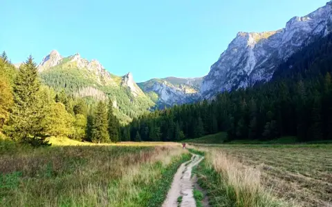 Ścieżka wije się przez dolinę małej łąki, otoczoną lasem i skalistymi szczytami.