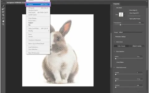 Jak zrobić przezroczyste tło w Photoshopie - proste kroki i porady