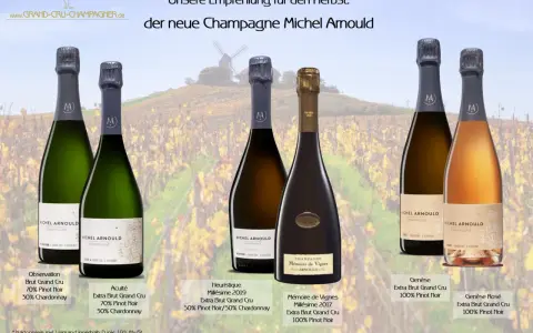 Sechs Flaschen Champagner Michel Arnould im Angebot. Was kostet eine Flasche Champagner? Hier nur 242€ statt 275€.