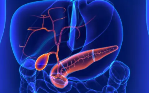 Anatomia jamy brzusznej z widoczną trzustką, wątrobą i pęcherzykiem żółciowym. Widać naczynia krwionośne. Może to być wizualizacja torbieli na trzustce.