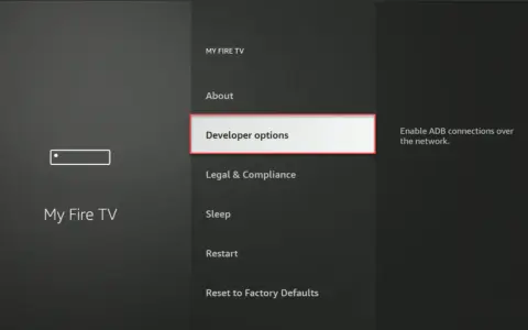 Fire TV Stick Menü mit hervorgehobenen "Developer options" und Text "Enable ADB connections over the network.