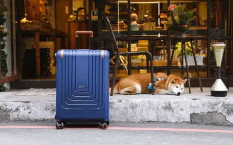 En blå resväska står redo för en resa utomlands. En söt shiba inu vilar bredvid, som om den också väntar på att packa sin packlista utomlands.