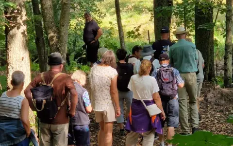 En grupp människor njuter av vandringens dag i en lummig skog.