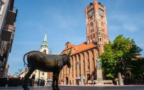 Pomnik osiołka na Rynku Staromiejskim w Toruniu, obok Ratusza Staromiejskiego. Jedna z wielu toruńskich atrakcji.