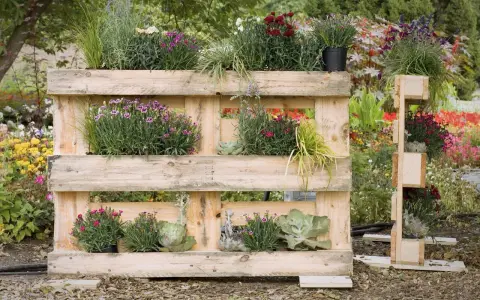 Jardinière en palette accueillant des fleurs roses et violettes, des graminées et des succulentes. Un jardin vertical original et écologique.