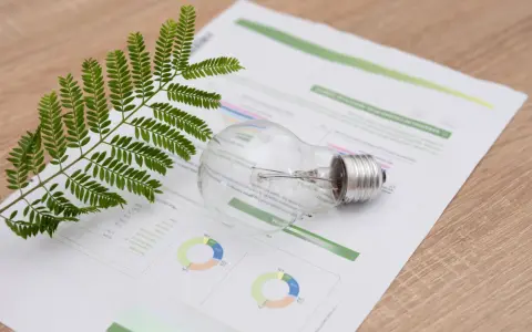 Gałązka zieleni i żarówka na papierze z wykresami, sugerujące analizę kosztów energii, np. eon taryfa c11.