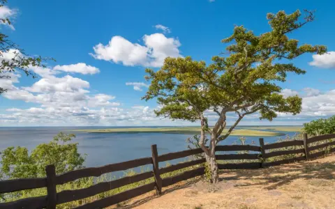 Widok na rozlewiska i łąki, przypominające kształtem delta świny, z drzewem i drewnianym płotem na pierwszym planie.