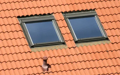 Un chien assis sur une toiture en tuiles, observant le ciel à travers deux fenêtres de toit.