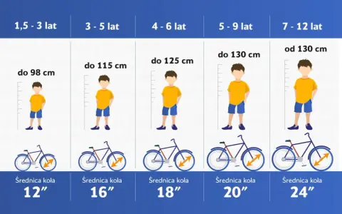 Tabela rozmiarów rowerów dla dzieci: rama M na jaki wzrost? Od 1,5 do 12 lat, z podziałem na wiek i wzrost, oraz średnicę kół.