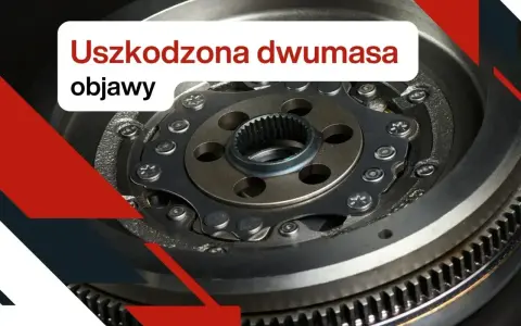 Uszkodzona dwumasa, czyli koło dwumasowe, może objawiać się wibracjami i stukami.